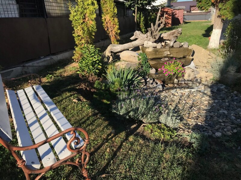 Garden Az - Amenajare gradini
